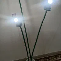 گل سالنی آباژوری|گل مصنوعی|سرپل ذهاب, |دیوار