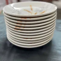 ۱۸ عدد بشقاب ملامین گل گندمین قالب امریکایی|ظروف سرو و پذیرایی|رشت, پورسینا|دیوار