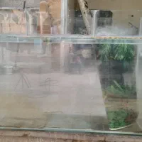 اکواریوم و وسایل