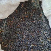 کشمش یاقوتی آفتابی|خوردنی و آشامیدنی|قزوین, |دیوار