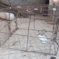 قفس پرنده بزرگ