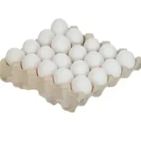 تخم مرغ شونه ای ۲۰۰هزارتومن عمده