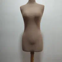 مانکن سوزن خور