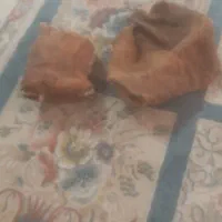 کلی پنیری