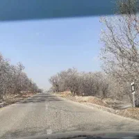طبیعت گردی