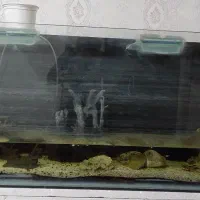 آکواریوم بزرگ