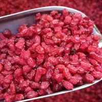زرشک پفکی