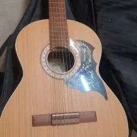 گیتار پارسی M5