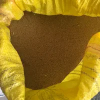بذر یونجه|خدمات باغبانی و درختکاری|شاهین دژ, |دیوار