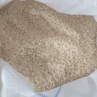 برنج لاشه هاشمی محصول صومعه صرا