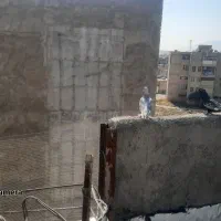 سوسنی.ترک|پرنده|شیراز, پانصد دستگاه ارتش|دیوار