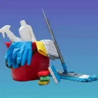 شرکت خدمات نظافتی و فنی دامون کیش