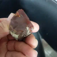 سنگ قیمتی|کلکسیون اشیاء عتیقه|بندر انزلی, پیل علی باغ|دیوار