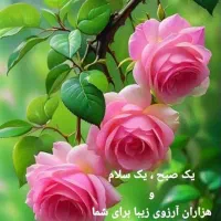 دو عدد زیر انداز حصیری و نمدی گمشده