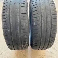 لاستیک میش لن فرانسه