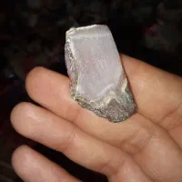 سنگهای انگشتری راف و تراش نخورده|جواهرات|اهواز, کوی مهدیس|دیوار