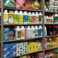 باغبانی وسمپاشی درتمام نقاط تهران