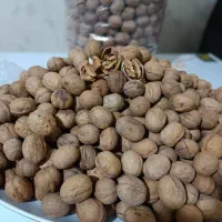 گردو تویسیرکان کیلو ۳۵۰تومن|خوردنی و آشامیدنی|جهرم, |دیوار