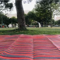 زیر انداز حصیر و جاجیم ضد آب|گلیم، جاجیم، گبه|شهریار, |دیوار