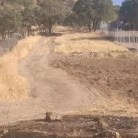 زمین|فروش زمین و ملک کلنگی|جوانرود, |دیوار