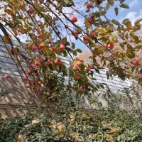 فروش مسکونی 160متر محدوده کرج|فروش خانه و ویلا|محمدشهر, عباس آباد|دیوار