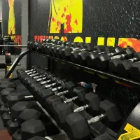 تجهیزات باشگاه بدنسازی اقساطی