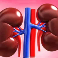 راهنمایی درمورد بیماریهای کلیوی