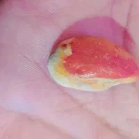 فروش سنگهای قیمتی