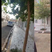 زیر زمین گلخانه ای رهن کامل|اجارهٔ خانه و ویلا|قم, زنبیل آباد|دیوار