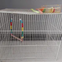 قفس پرنده با وسایل