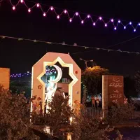 ریسه بلوطی چراغانی‌ RGB رکسان آر جی بی ۷رنگ مولتی