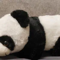 حراج عروسک|اسباببازی بچه|تهران, باشگاه نفت|دیوار