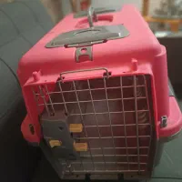 باکس حمل حیوانات|لوازم جانبی حیوانات|شیراز, ده پیاله|دیوار