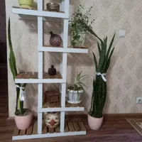 استند گل