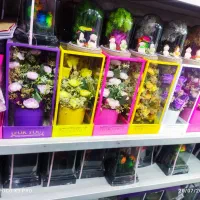 باکس شیشه ای گل وخرس