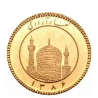 سرمایه گذار هستم