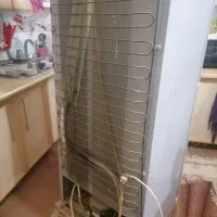 یخچال نیاز گاز و سینی طبقه بالا تعویض بشه|یخچال و فریزر|تایباد, |دیوار
