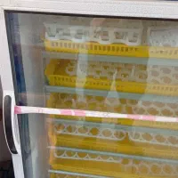 دستگاه جوجه کشی