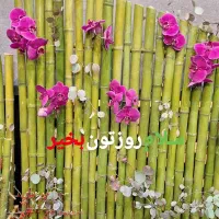 طبقه-بالاویلایی-فازدوپادادشهر