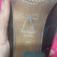 کفش مجلسی|کیف، کفش، کمربند|شهریار, شهریار|دیوار