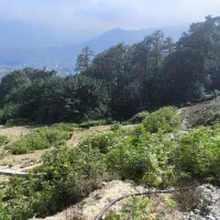 زمین|پیش‌فروش املاک|چمستان, |دیوار