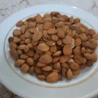 قیصی وخشکبار