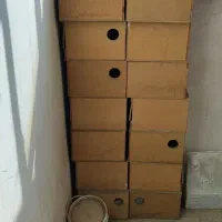 لانه کوتوله و قفس