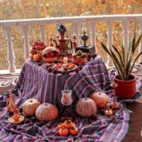 میز کرسی  شب یلدا چوب روس چمدانی تاشو +هیتر برقی|بخاری، هیتر، شومینه|اندیشه, اندیشه فاز ۱|دیوار