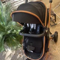 کالسکه و کریر دلیجان|کالسکه و لوازم جانبی|تهران, المهدی|دیوار