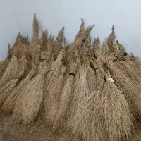 ج.ا.ر.و امسالی و محلی درجه یک