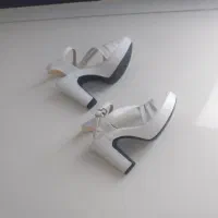 کفش مجلسی|کیف، کفش، کمربند|قروه, |دیوار