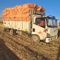 فروش کاه گندم دیمی درجه یک تحویل درب انبار شما