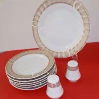 ظروف چینی دسته دوم درحدنو