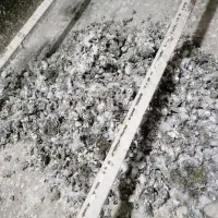 کود کبوتر.کود حیوانی.باغبانی|گل و گیاه طبیعی|تربتحیدریه, باغ ملی|دیوار